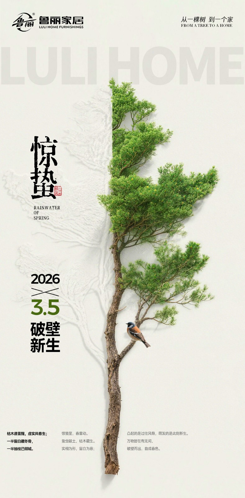 微信图片_20260305083102_291_74.jpg